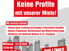Kopie von Adler Group & co Enteignen Keine Profite mit der Miete (Instagram-Beitrag (Quadratisch)) - 1